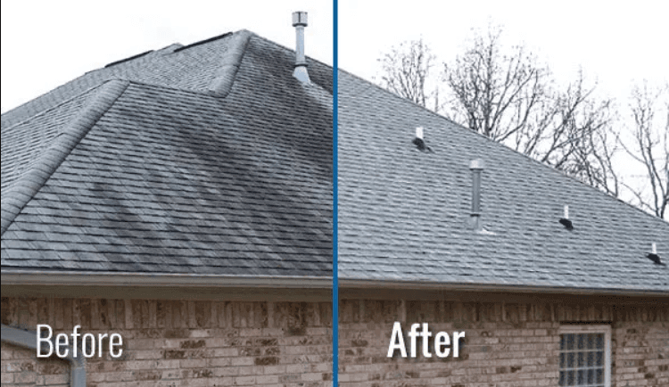 Asphalt Roof Cleaning Service